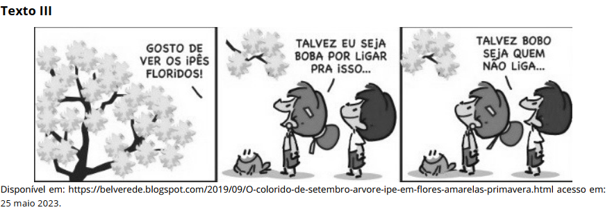 Imagem do Texto III